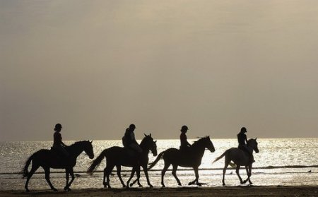 Группа всадников на побережье