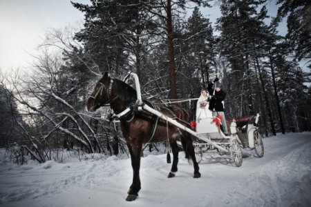 Сани