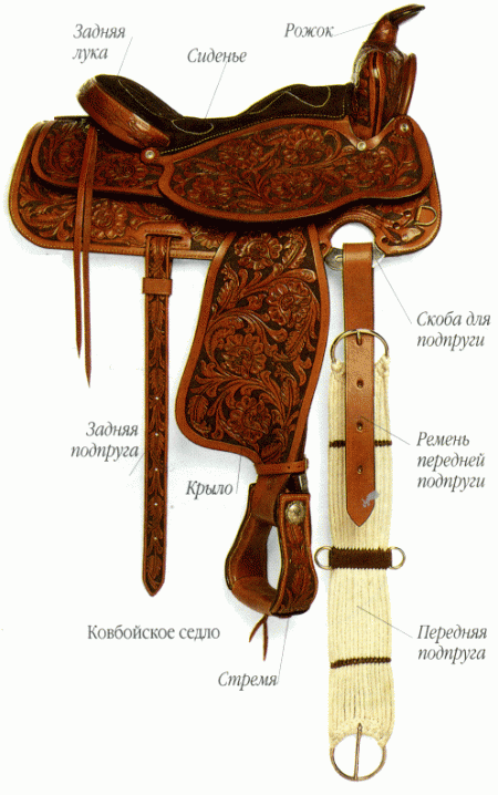 Строение седла