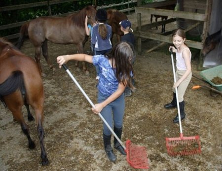 Фото девочек, которые чистят общий денник