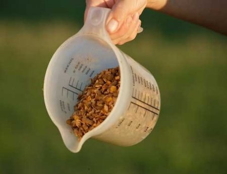 Фото мерной кружки с кормом